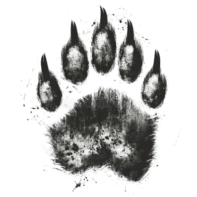 Bear Nails